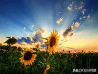 沈阳浩铭网络科技有限公司