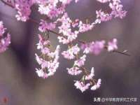 沈阳浩铭网络科技有限公司