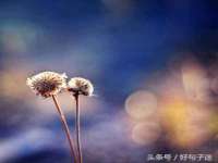沈阳浩铭网络科技有限公司