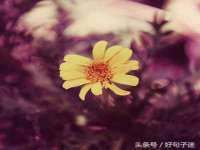 沈阳浩铭网络科技有限公司