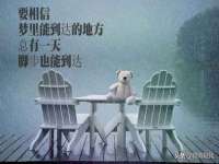 沈阳浩铭网络科技有限公司