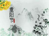 沈阳浩铭网络科技有限公司