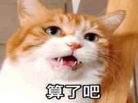 沈阳浩铭网络科技有限公司