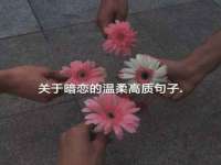 沈阳浩铭网络科技有限公司