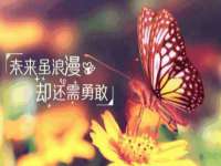 沈阳浩铭网络科技有限公司