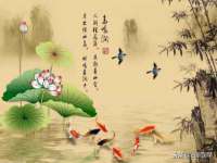 沈阳浩铭网络科技有限公司
