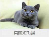沈阳浩铭网络科技有限公司