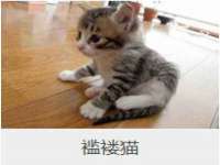沈阳浩铭网络科技有限公司