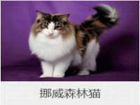 沈阳浩铭网络科技有限公司
