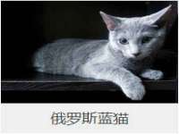 沈阳浩铭网络科技有限公司
