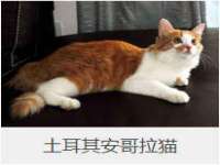 沈阳浩铭网络科技有限公司