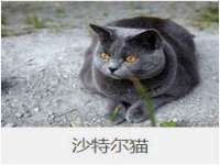 沈阳浩铭网络科技有限公司