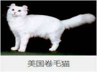 沈阳浩铭网络科技有限公司