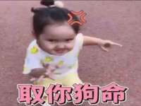 沈阳浩铭网络科技有限公司