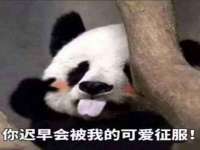 沈阳浩铭网络科技有限公司