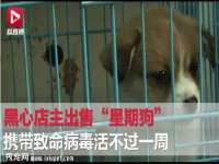 沈阳浩铭网络科技有限公司