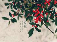 沈阳浩铭网络科技有限公司