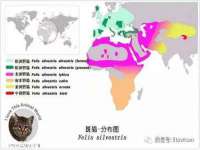 沈阳浩铭网络科技有限公司