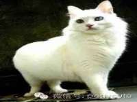 沈阳浩铭网络科技有限公司