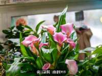 沈阳浩铭网络科技有限公司