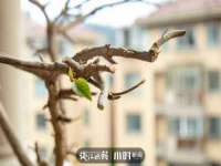 沈阳浩铭网络科技有限公司