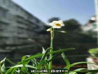 沈阳浩铭网络科技有限公司