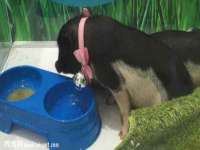 沈阳浩铭网络科技有限公司