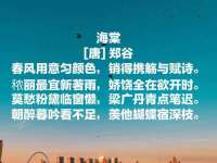 沈阳浩铭网络科技有限公司