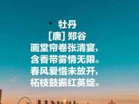 沈阳浩铭网络科技有限公司