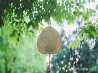 沈阳浩铭网络科技有限公司