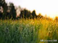 沈阳浩铭网络科技有限公司