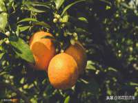 沈阳浩铭网络科技有限公司
