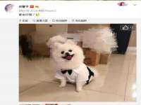 沈阳浩铭网络科技有限公司