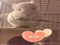 沈阳浩铭网络科技有限公司
