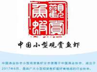 沈阳浩铭网络科技有限公司