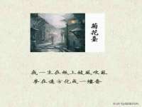 沈阳浩铭网络科技有限公司