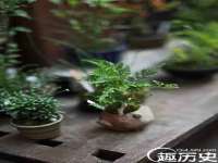 沈阳浩铭网络科技有限公司