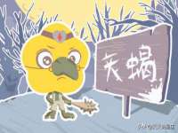 沈阳浩铭网络科技有限公司
