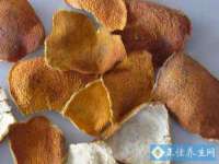 沈阳浩铭网络科技有限公司
