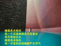 沈阳浩铭网络科技有限公司