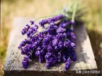 沈阳浩铭网络科技有限公司