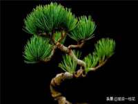 沈阳浩铭网络科技有限公司