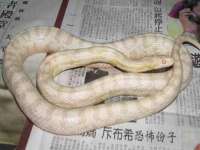 沈阳浩铭网络科技有限公司